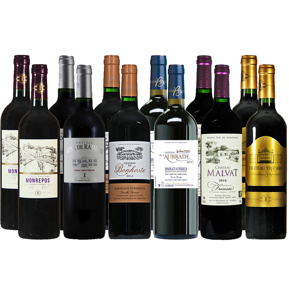 12er Probierpaket Rotwein A.O.C. Bordeaux - Villa Vitis